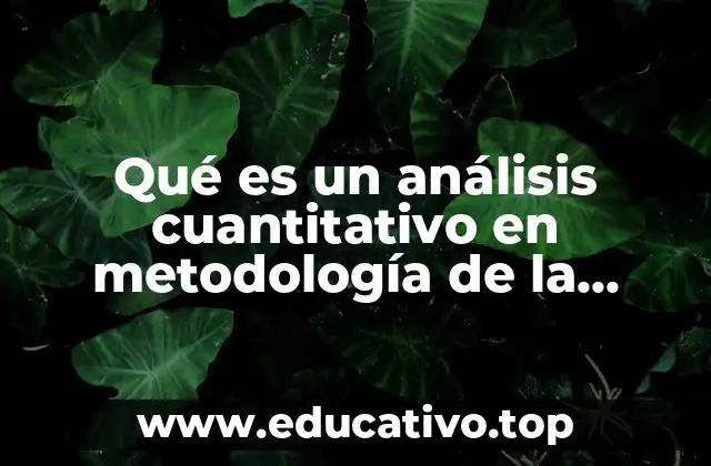 Qué es un análisis cuantitativo en metodología de la investigación