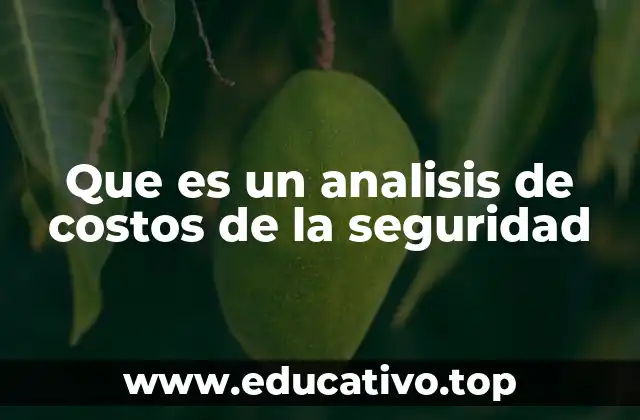 Que es un analisis de costos de la seguridad