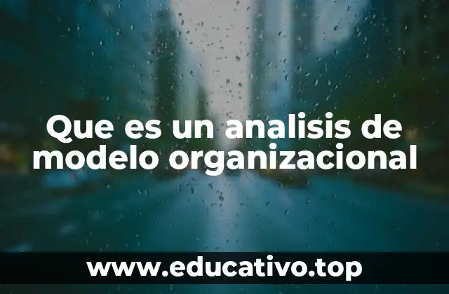 Que es un analisis de modelo organizacional