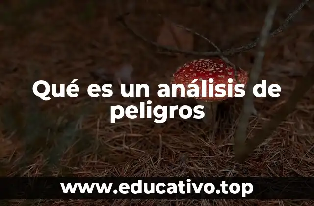 Qué es un análisis de peligros