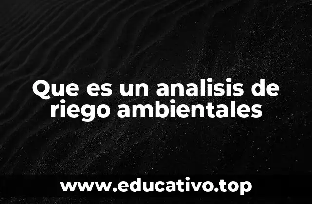 Que es un analisis de riego ambientales