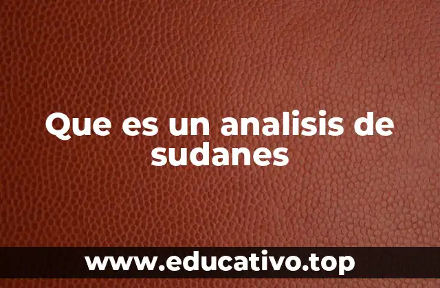 Que es un analisis de sudanes