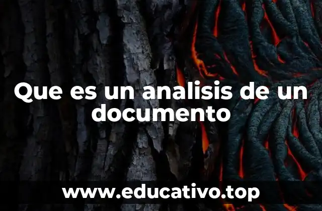 Que es un analisis de un documento
