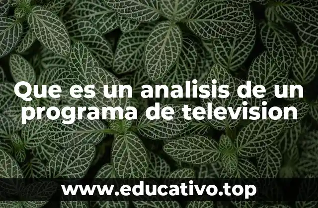 Que es un analisis de un programa de television