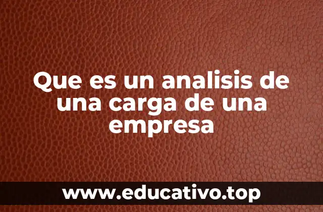 Que es un analisis de una carga de una empresa
