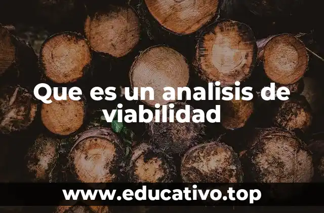 Que es un analisis de viabilidad
