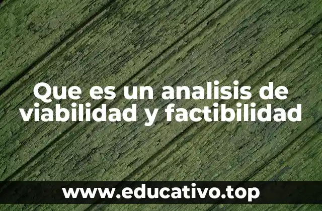 Que es un analisis de viabilidad y factibilidad