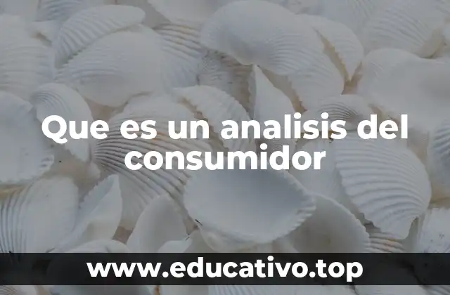 Que es un analisis del consumidor