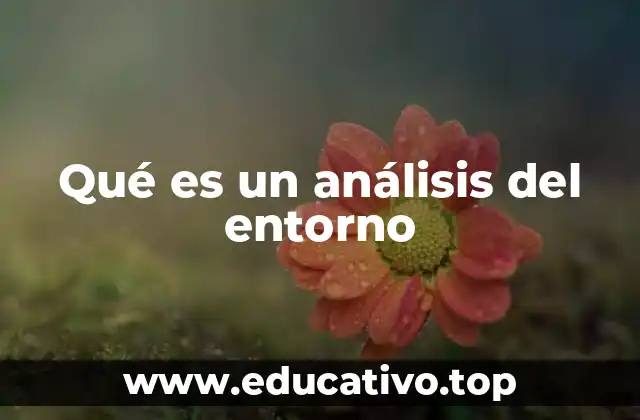 Qué es un análisis del entorno