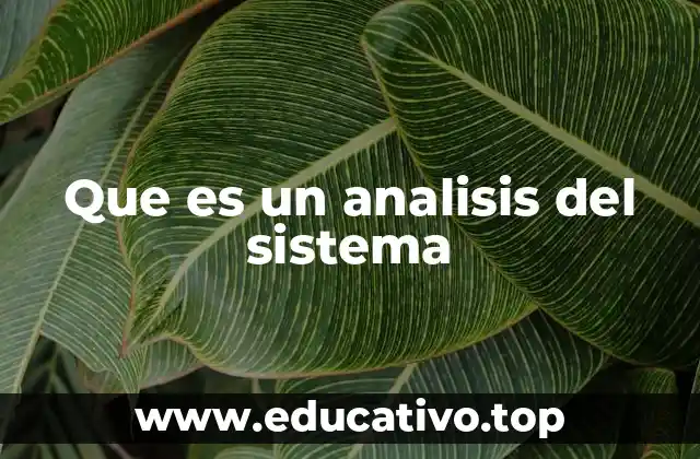 Que es un analisis del sistema