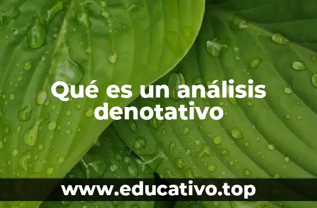 Qué es un análisis denotativo