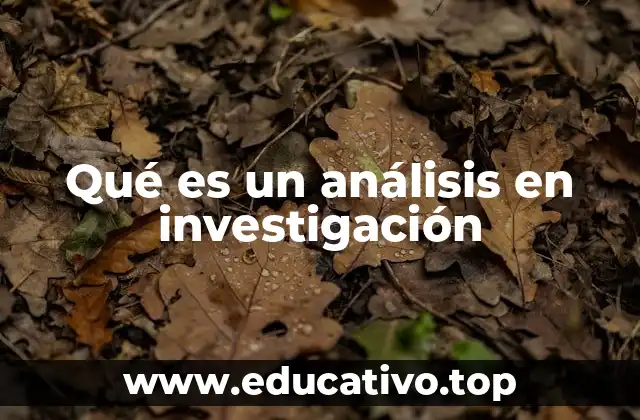 Qué es un análisis en investigación