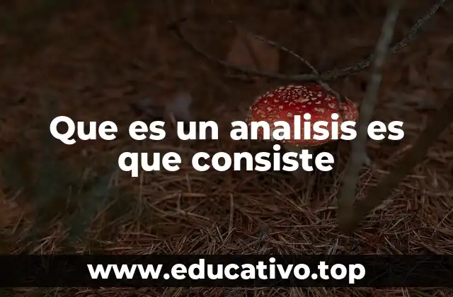 Que es un analisis es que consiste
