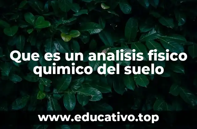 Que es un analisis fisico quimico del suelo