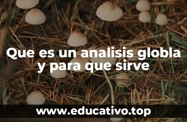 Que es un analisis globla y para que sirve