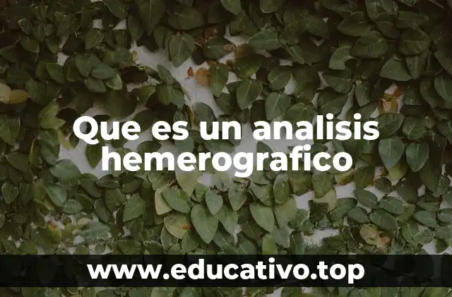 Que es un analisis hemerografico