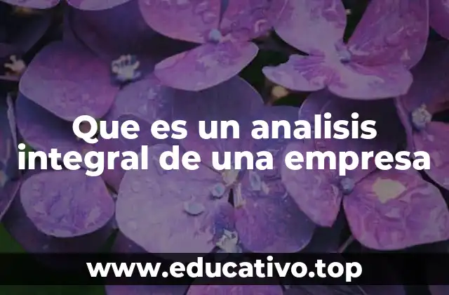 Que es un analisis integral de una empresa