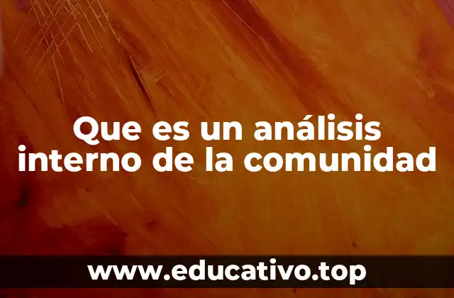 Que es un análisis interno de la comunidad