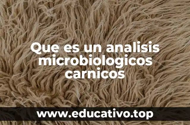 Que es un analisis microbiologicos carnicos