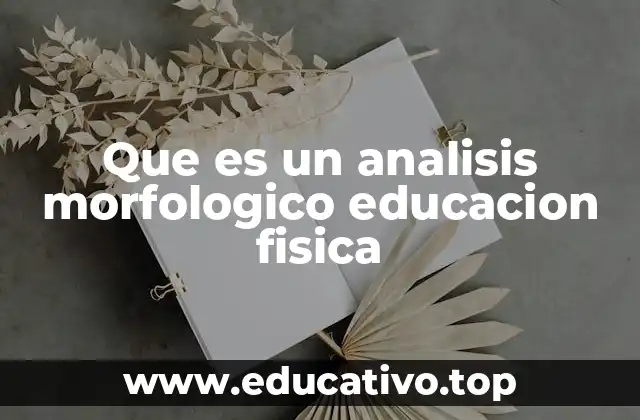 Que es un analisis morfologico educacion fisica