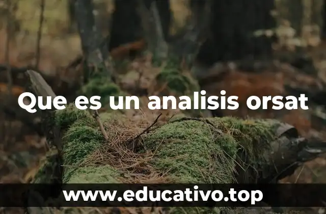 Que es un analisis orsat