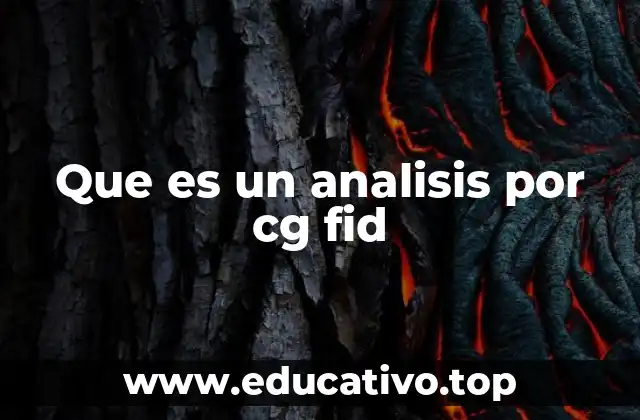 Que es un analisis por cg fid