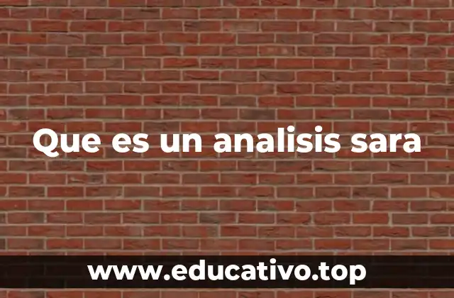 Que es un analisis sara