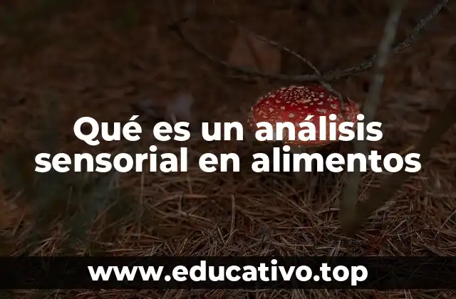 Qué es un análisis sensorial en alimentos