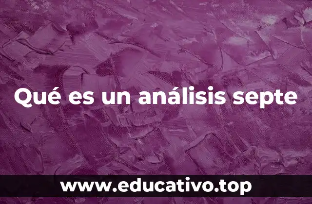 Qué es un análisis septe
