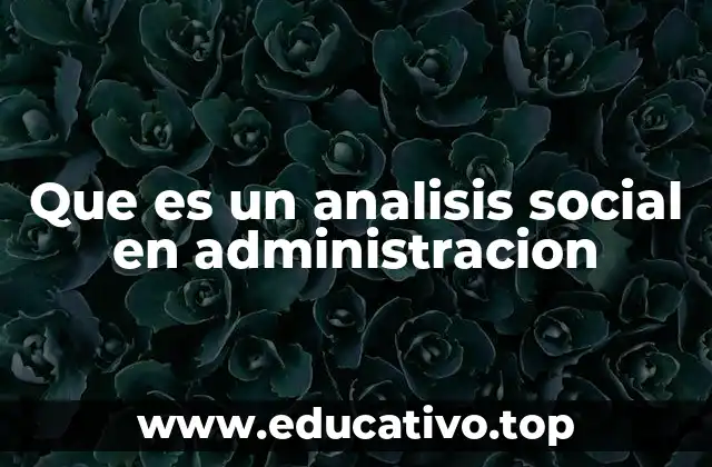 Que es un analisis social en administracion