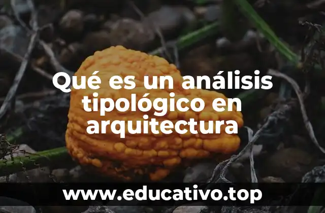 Cómo el análisis tipológico ayuda a comprender el entorno construido