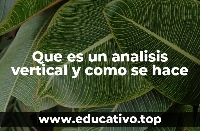 Que es un analisis vertical y como se hace