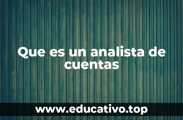 Que es un analista de cuentas