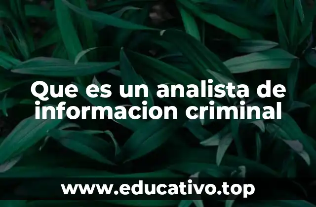 Que es un analista de informacion criminal