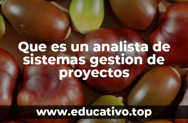 Que es un analista de sistemas gestion de proyectos