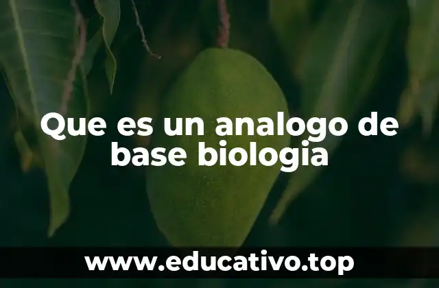 Que es un analogo de base biologia