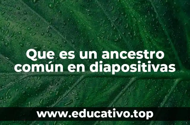 Que es un ancestro común en diapositivas