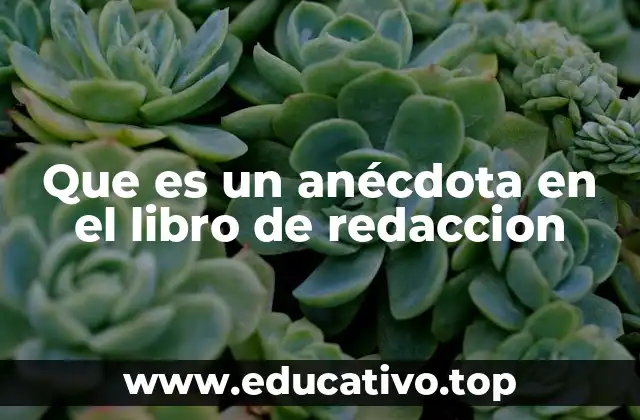 Que es un anécdota en el libro de redaccion