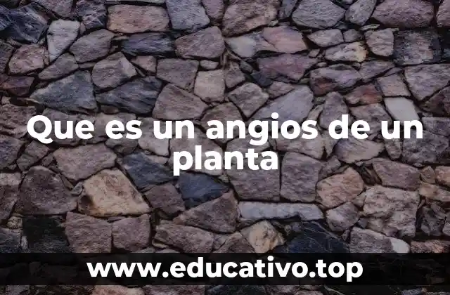 La importancia del ángulo foliar en el crecimiento vegetal