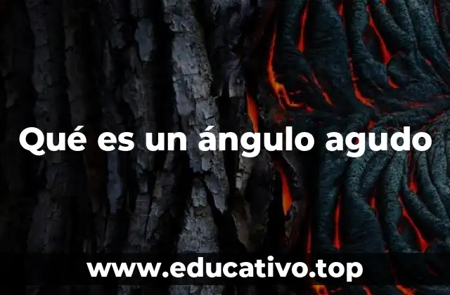 Qué es un ángulo agudo