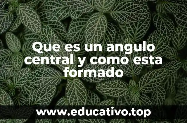 Que es un angulo central y como esta formado