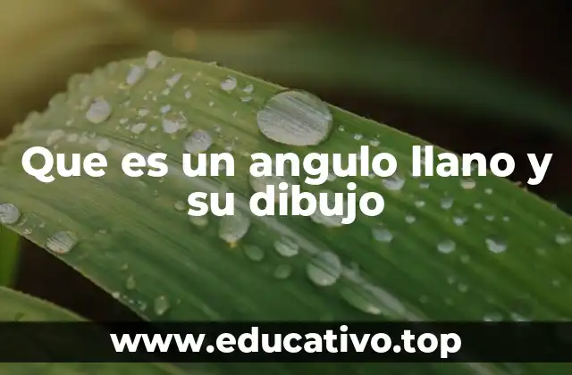 Que es un angulo llano y su dibujo