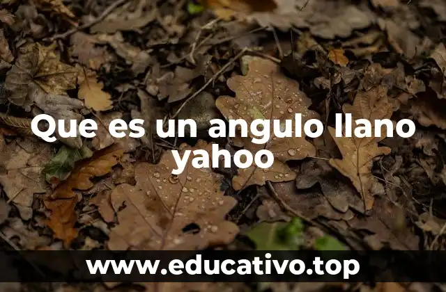 Que es un angulo llano yahoo