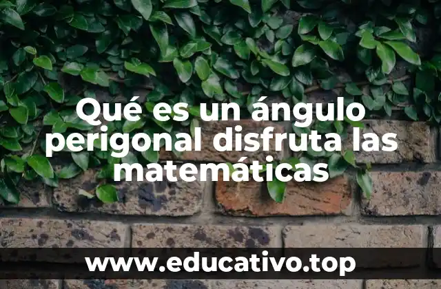 Qué es un ángulo perigonal disfruta las matemáticas