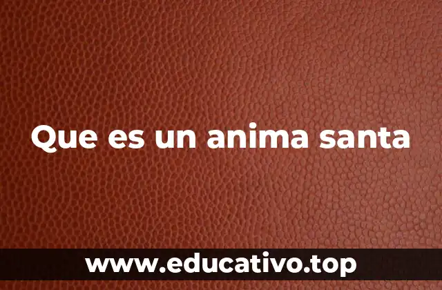 Que es un anima santa