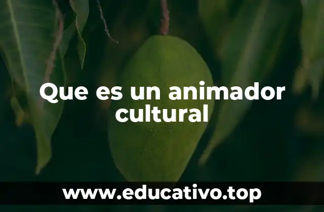 Que es un animador cultural