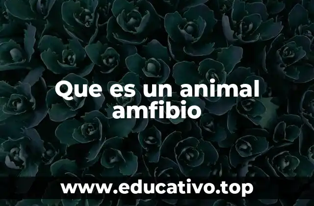 Que es un animal amfibio