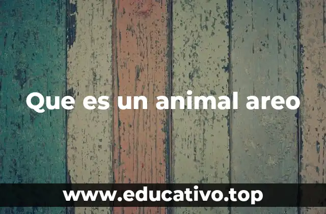Que es un animal areo