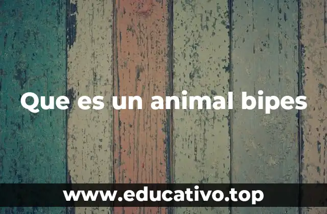 Que es un animal bipes