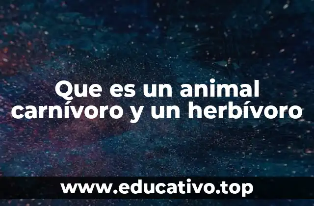 La importancia de la alimentación en la cadena trófica